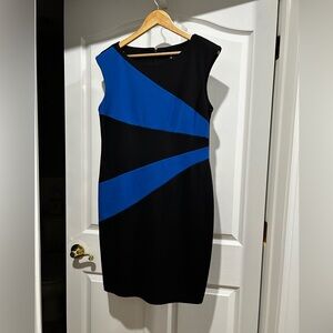 Lot of 2 Large (12) professional dresses. Ellen Tracey and Chico’s.